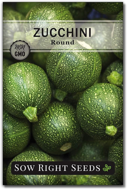 Sow Right Seeds - Round Zucchini Seed for Planting - Non-GMO Heirloom Packet with Instructions to Plant a Home Vegetable Garden - Unique Globe Squash - Summer Vining Variety (1)