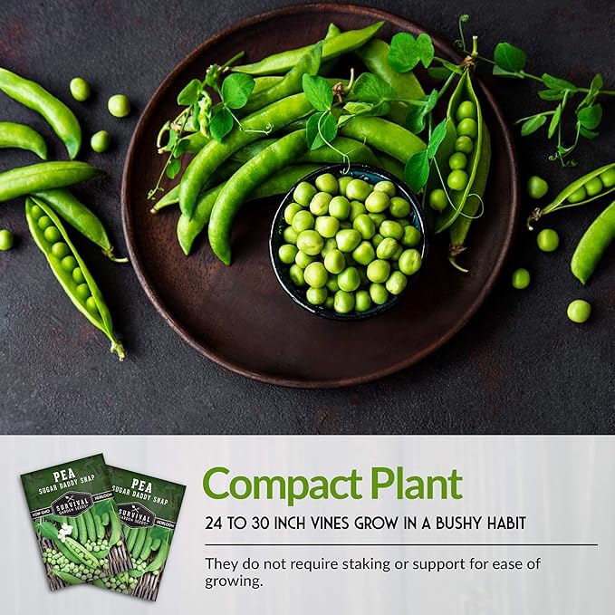 Survival Garden Seeds - Sugar Daddy Snap Pea Seed for Planting - 2 Packs with Instructions to Plant and Grow in Delicious Pea Pods Your Home Vegetable Garden - Non-GMO Heirloom Variety