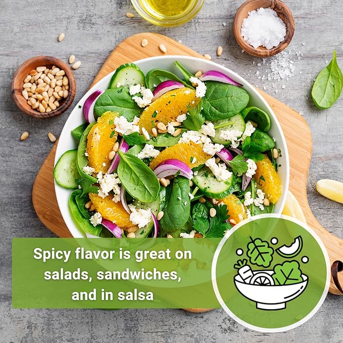 Sow Right Seeds - Red Creole Onion Seeds for Planting - Non-GMO Heirloom Packet with Instructions to Plant a Home Vegetable Garden - Grow Classic Purple Onions, Essential for Cooking (4)