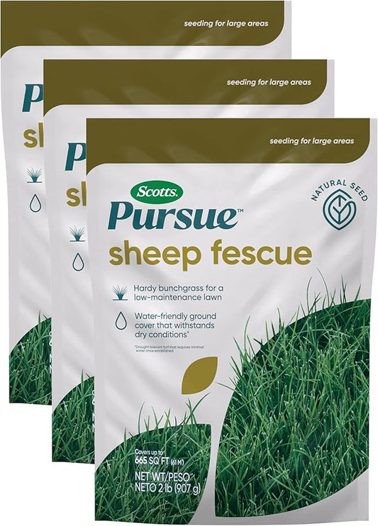 Scotts Pursue Sheep Fescue with Natural Seed, Seeding for Large Areas, 2 lbs. (Pack of 3)