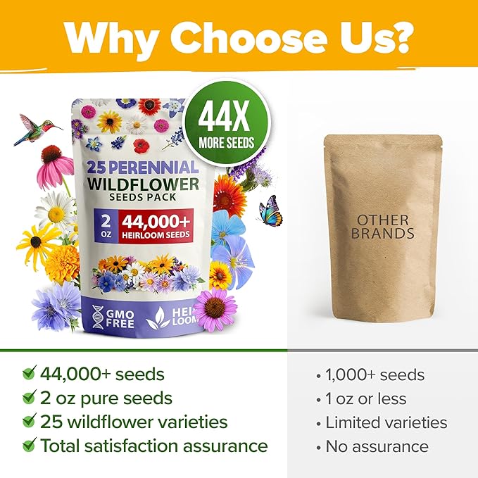 HOME GROWN 44,000 Wildflower Seeds: 2oz Perennial Wild Flower Seeds Mix - Flower Garden Seeds for Attracting Birds & Butterflies - 25 Variety Wildflowers Seed for Planting Outdoor Garden Flowers