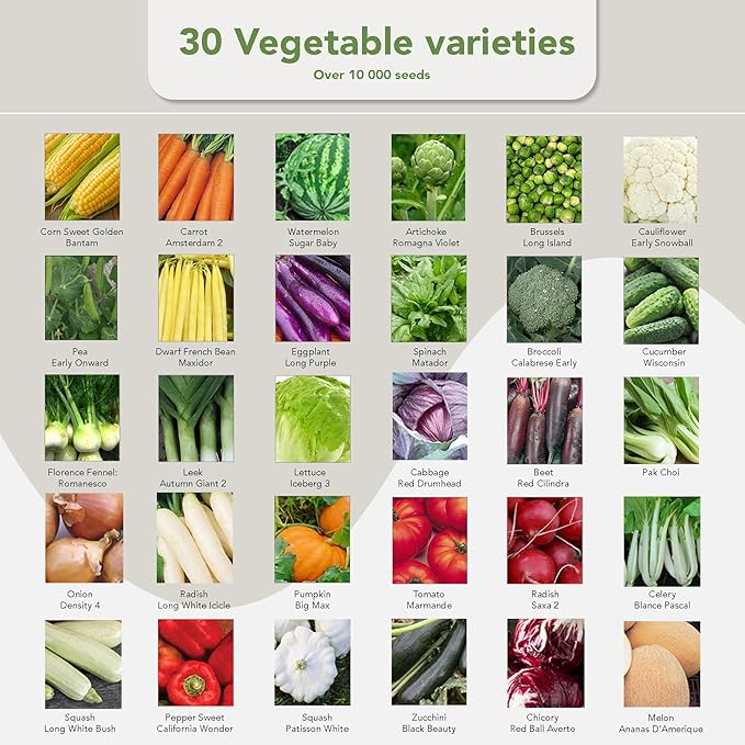 Garden Pack Vegetable Seeds Pouch - 30 Non-GMO Varieties, 10,000+ Heirloom Seeds for Planting Vegetables - Sealed for Survival Seeds Storage