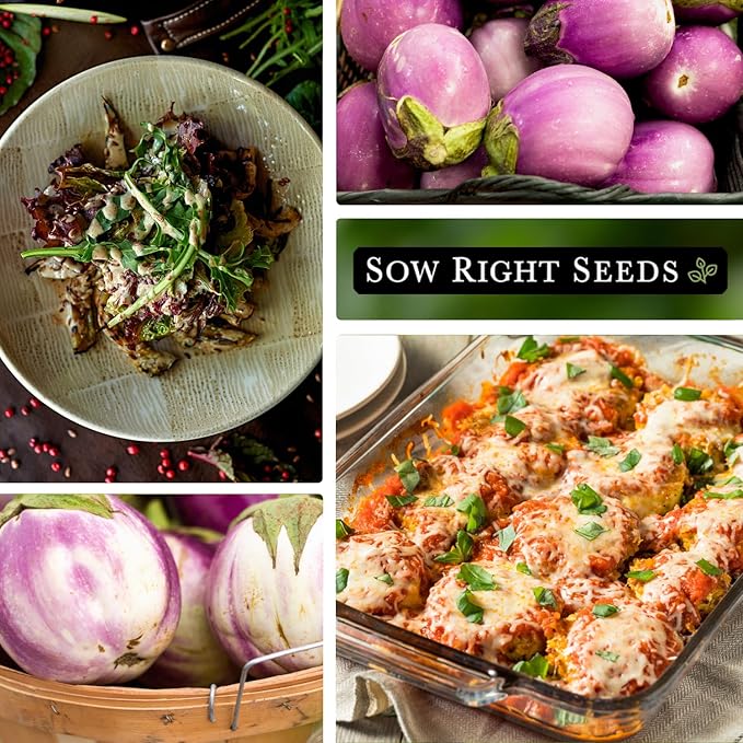 Sow Right Seeds - Rosa Bianca Eggplant Seed for Planting - Productive Variety Prized by Chefs - Non-GMO Heirloom Packet with Instructions to Plant an Outdoor Home Vegetable Garden - Pink and White (1)