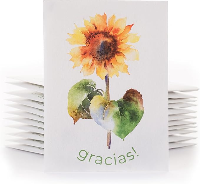 Bentley Thank You Packet - Gracias, Mammoth Sunflower - 25 Packets - Perfect Thank You Gift, Spanish - Non GMO Seeds