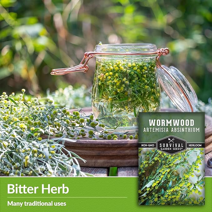 Wormwood Seeds for Planting - 5 Packets with Instructions to Plant and Grow Beneficial Medicinal Herbs in Your Home Herb Garden - Non-GMO Heirloom Variety - Survival Garden Seeds