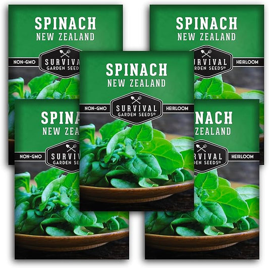 New Zealand Spinach Seed for Planting - 5 Packets with Instructions to Plant & Grow Tetragonia Tetragonoides in Your Home Vegetable Garden - Non-GMO Heirloom Variety - Survival Garden Seeds