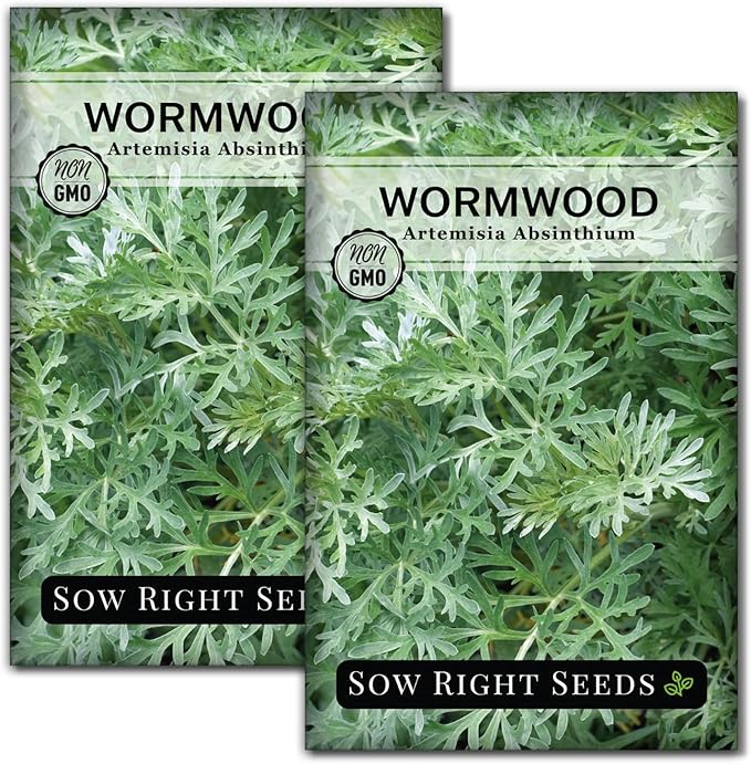 Sow Right Seeds - Wormwood Seeds for Planting - Non-GMO Heirloom Packet with Instructions to Plant & Grow an Outdoor or Indoor Herb Garden - Sagewort Repels Mosquitoes - Medicinal Worm Wood Herb (2)