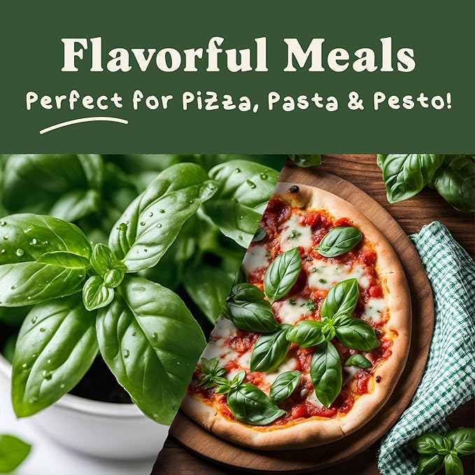 Organic Basil Herb Seeds for Indoor Gardening or Planting Outdoors, Non-GMO and USDA Certified Herb Seed Packets, 250 Seeds/1 gram (Genovese Basil)