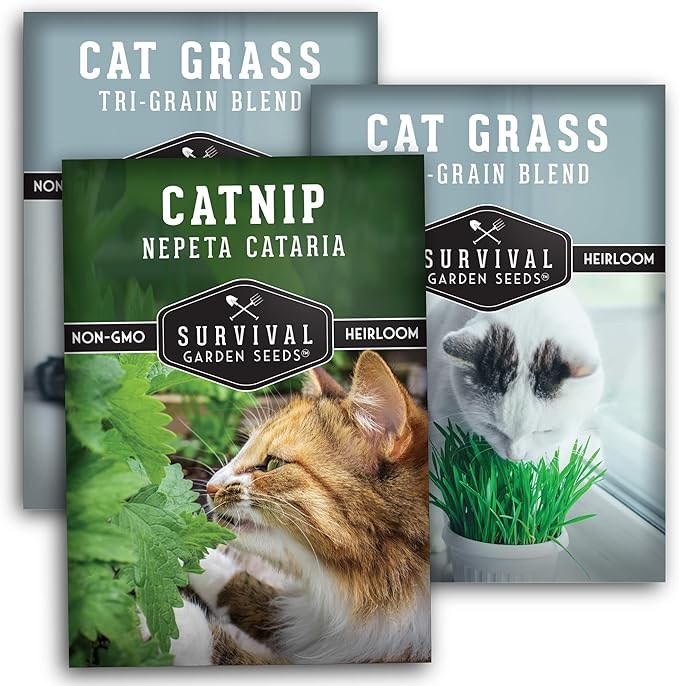 Survival Garden Seeds Cat Collection Seed Vault - Non-GMO Heirloom Seeds for Planting - Catnip and 2 Cat Grass Packets - Amazing Herbal Plants and Greens for Your Kitty's Health & Recreation