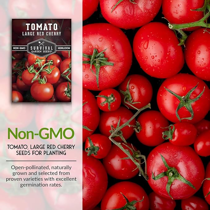Survival Garden Seeds - Large Red Cherry Tomato Seed for Planting - 3 Packets with Instructions to Plant and Grow Tomatoes in Your Home Vegetable Garden - Non-GMO Heirloom Variety