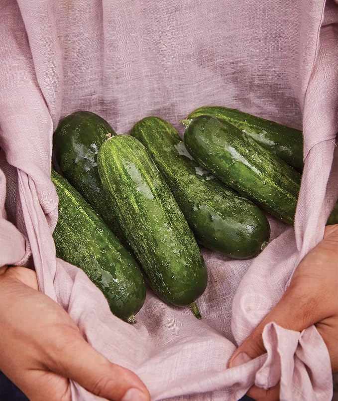 Burpee 'Supremo' Pickling Cucumber Seeds, 30 Non-GMO seeds, Container Friendly