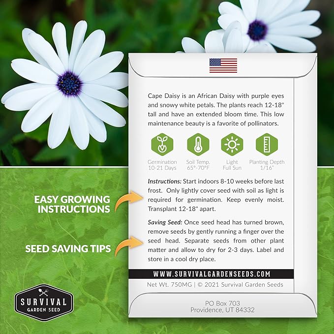 3 Packs Cape Daisy Seed for Planting - Packet with Instructions to Grow Beautiful White & Purple Osteospermum in Your Home Flower Garden - Non-GMO Heirloom Variety - Survival Garden Seeds