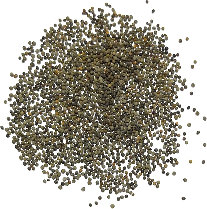 Seed Needs Mixed California Poppy Seeds for Planting - Heirloom & Open Pollinated Tender Perennial - Colorful Mixture of Flowers to Plant a Butterfly Garden (1 Pack)