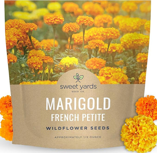 Marigold French Petite - Large 1/2 Ounce Packet - 4,000 Flower Seeds for Planting - Tagetes patula