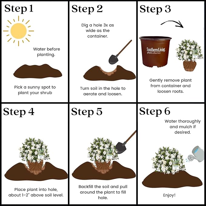 Southern Living Jublilation Gardenia, 2 Gal, Fragrant White Flowers