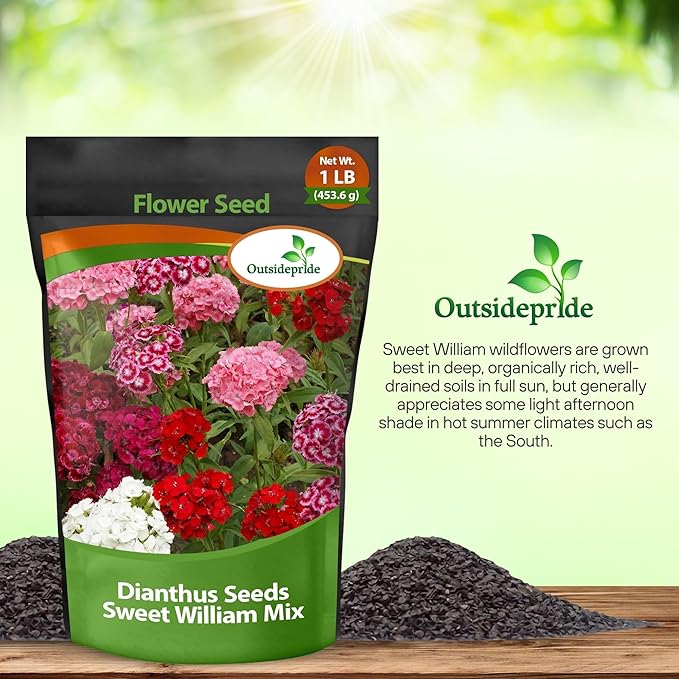 Outsidepride Sweet William Dianthus Seeds - 1 Lb. Perennial, Winter Hardy Wildflower Seeds w/Fragrant & Vibrant Blooms, Ideal for Pollinator Gardens, Cut Flowers & Colorful Landscaping