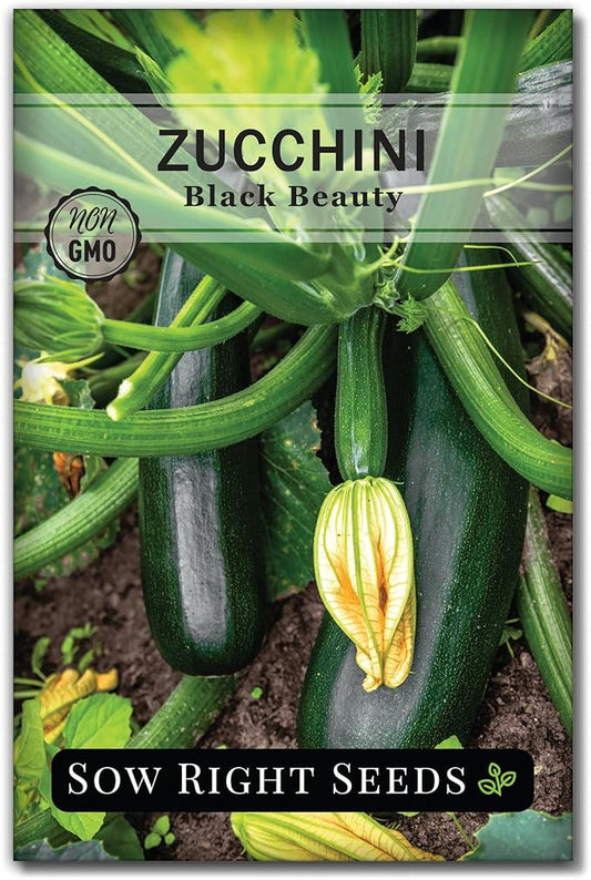 Sow Right Seeds - Black Beauty Zucchini Seeds for Planting - Non-GMO Heirloom Packet with Instructions to Plant a Home Vegetable Garden - Summer Squash - Classic Zucchini Good for Large Containers (1)