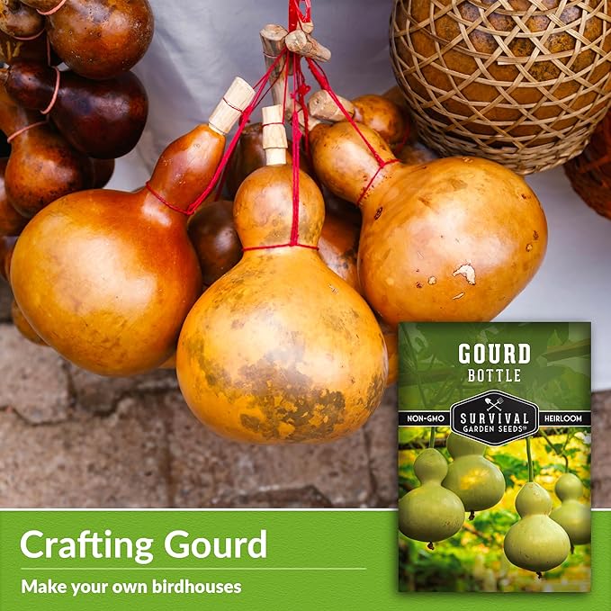 Bottle Gourd Seed for Planting - 1 Packet with Instructions to Plant & Grow Birdhouse or Calabash Gourds in Your Home Vegetable Garden - Non-GMO Heirloom Variety Plant Seed - Survival Garden Seeds