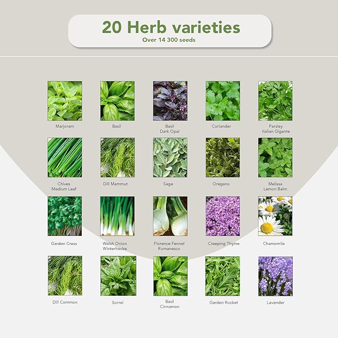 Garden Pack 20 Herb Seeds Variety Pack - 14,000 Non GMO Herb Seeds for Planting - Garden Seeds for Your Own Herb Garden