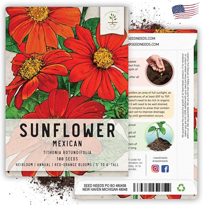 Seed Needs, Mexican Sunflower Seeds - 100 Heirloom Seeds for Planting Tithonia rotundifolia - Annual Wildflower That Attracts Pollinators/Butterflies (5 Packs)