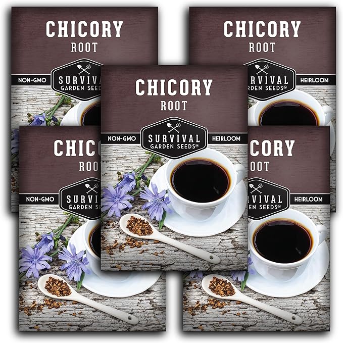 Root Chicory Seed for Planting - 5 Packets with Instructions to Plant and Grow Coffee Chicory in Your Home Vegetable Garden - Non-GMO Heirloom Variety - Survival Garden Seeds