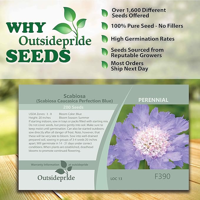 Outsidepride 200 Seeds Perennial Blue Scabiosa Pincushion Flower Seeds for Planting