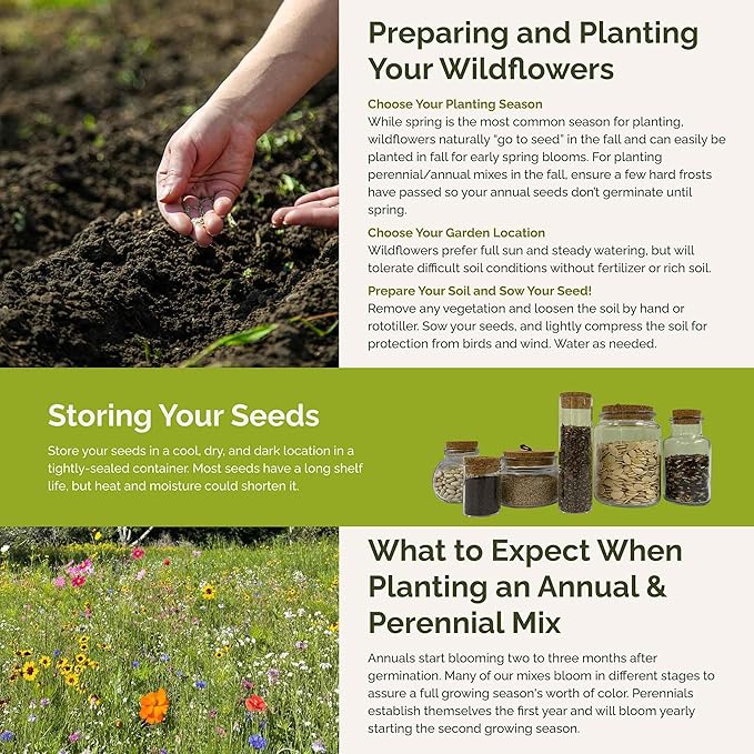 Eden Brothers Western Wildflower Mixed Seeds for Planting, 1/4 lb, 120,000+ Seeds with Cornflower, Blanket Flower | Attracts Pollinators, Plant in Spring or Fall, Zones 3, 4, 5, 6, 7, 8, 9, 10