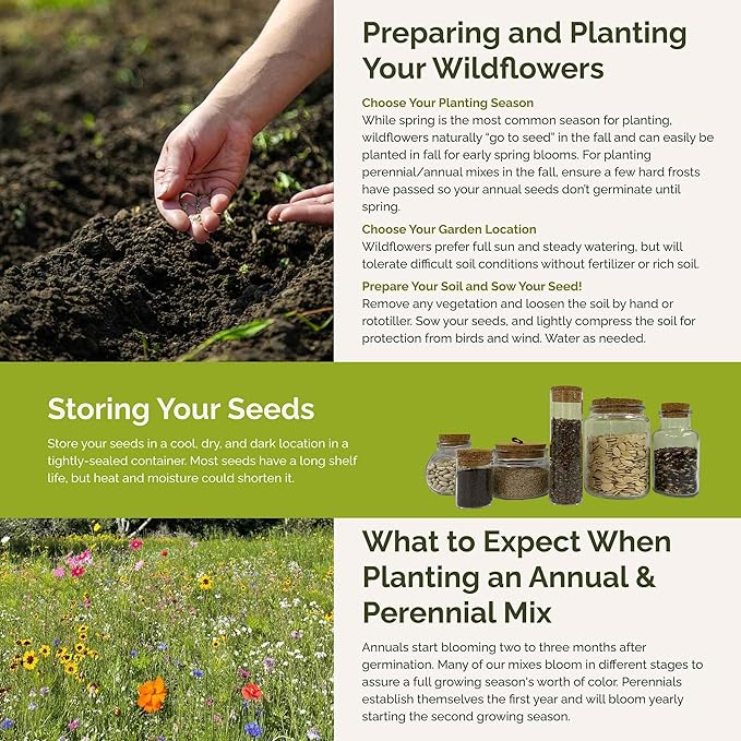 Eden Brothers Burst of Bloom Wildflower Mixed Seeds for Planting, 5 lb, 2,400,000+ Seeds with Cosmos, Black Eyed Susan | Attracts Pollinators, Plant in Spring or Fall, Zones 3, 4, 5, 6, 7, 8, 9, 10