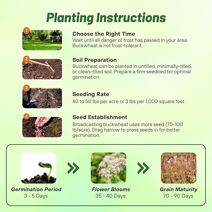 Outsidepride Buckwheat Seeds - 10lbs Annual, Fast-Growing, Easy to Grow Buckwheat Cover Crop Seeds for Green Manure, Bee Pasture & Pollinators, Wildlife Habitat, Soil Improvement, and Erosion Control