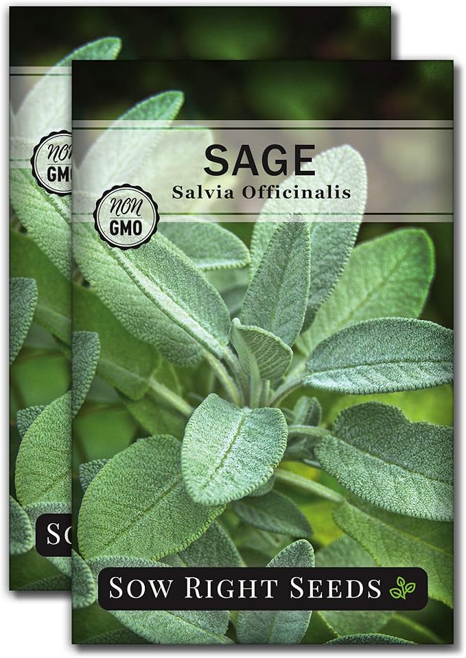 Sow Right Seeds - Sage Seeds for Planting - Non-GMO Heirloom Packet with Instructions to Plant and Grow Kitchen Herb Garden - Indoor or Outdoor - Great for Pollinators - Culinary Seasoning (2)
