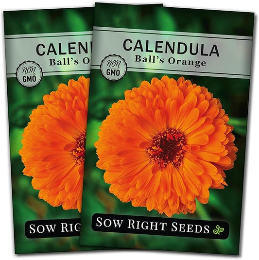 Sow Right Seeds - Ball’s Orange Calendula Seeds for Planting - Non-GMO Heirloom Packet with Instructions to Plant a Home Garden - Medicinal Orange Blooms That Pollinators Love - Grow Herbal Tea (2)