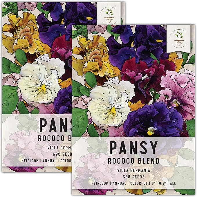 Seed Needs, Rococo Pansy Seeds - 600 Heirloom Seeds for Planting Viola Germania (2 Packs)