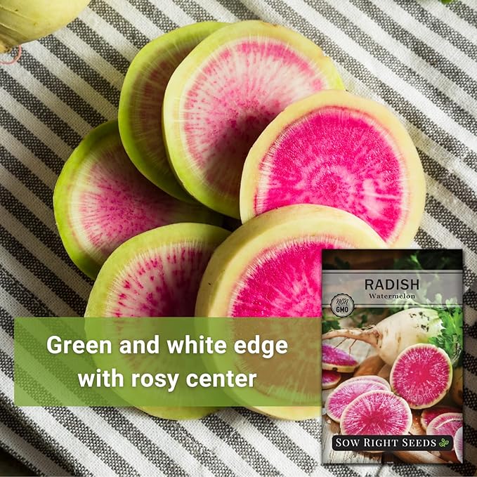 Sow Right Seeds - Watermelon Radish Seed for Planting - Non-GMO Heirloom Packet with Instructions to Plant a Home Vegetable Garden - Unique & Rare Veggie, Watermelon-Like Coloring When Cut (1)