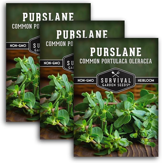 Common Purslane Seed for Planting - 3 Packets with Instructions to Plant and Grow Green Portulaca Oleracea in Your Home Vegetable Garden - Non-GMO Heirloom Variety - Survival Garden Seeds
