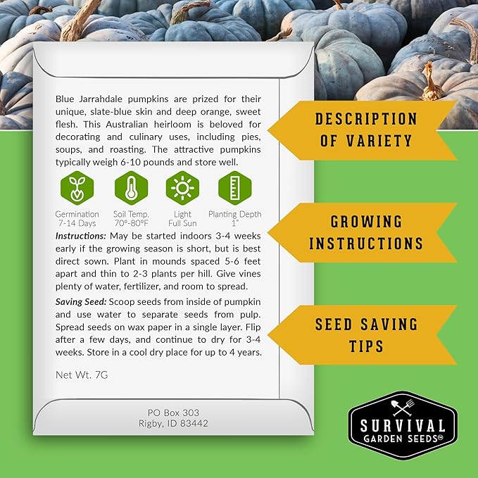 Blue Jarrahdale Pumpkin Seeds for Planting - 3 Packets with Instructions to Plant & Grow Decorative and Flavorful Blue Pumpkins in Your Home Garden - Non-GMO Heirloom Variety - Survival Garden Seeds