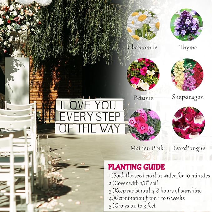 Set of 6 Seed Paper – 6 Pink Hearts & 6 White Pots with Bow for Weddings & Life Events