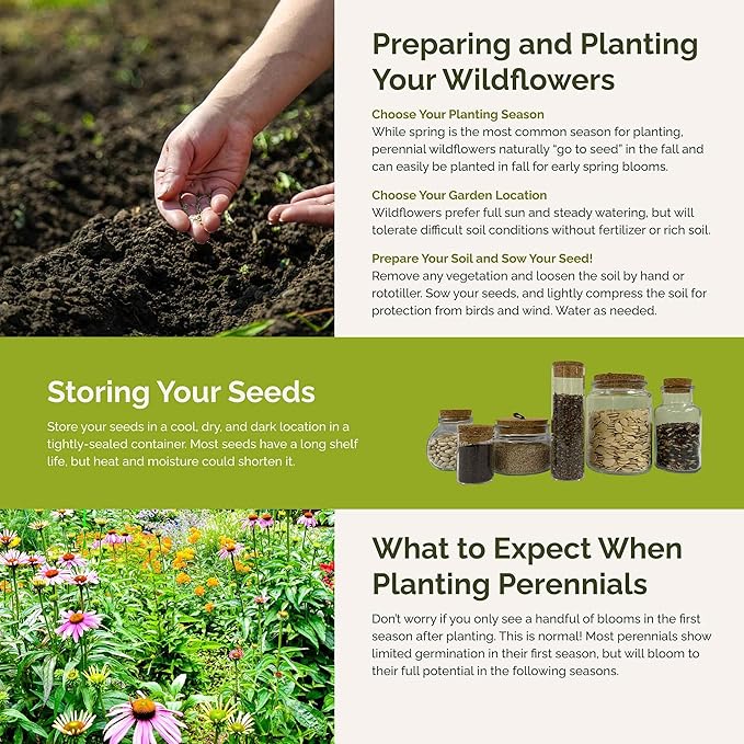 Eden Brothers Northeast All Perennial Wildflower Mixed Seeds for Planting, 5 lb, 2,400,000+ Seeds with Milkweed, NE Aster | Attracts Pollinators, Plant in Spring or Fall, Zones 3, 4, 5, 6, 7, 8, 9, 10