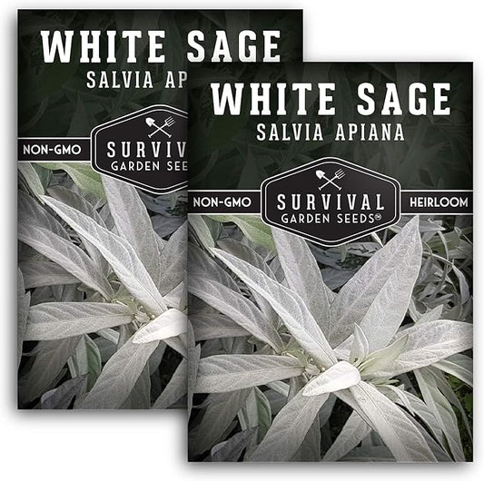 Survival Garden Seeds - 2 Packs White Sage Seed for Planting - Grow Sustainable Smudging Herbs - Packet with Instructions to Plant & Grow in Your Home Garden - Non-GMO Heirloom Variety