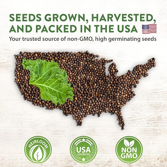 HOME GROWN 700+ Kale Seeds for Planting Outdoors or Hydroponics - Heirloom Leafy Greens Seeds 4 Variety Pack: Non-GMO Lacinato (Tuscan/Dino Kale), Blue Scotch, Dwarf Siberian, Red Russian Kale