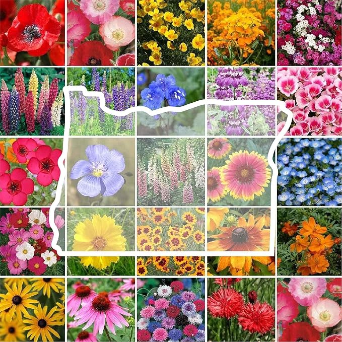 Eden Brothers Oregon Wildflower Mixed Seeds for Planting, 1 lb, 480,000+ Seeds with Bluebell, Cornflower | Attracts Pollinators, Plant in Spring or Fall, Zones