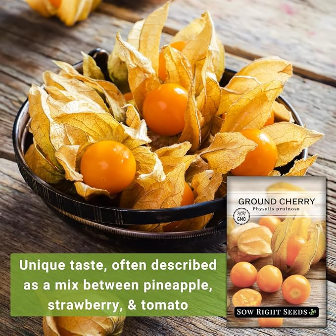 Sow Right Seeds - Ground Cherries Seeds for Planting - Non-GMO Heirloom Packet with Instructions to Plant an Outdoor Home Vegetable Garden - Mexican Husk Tomato - Endangered Variety (3)