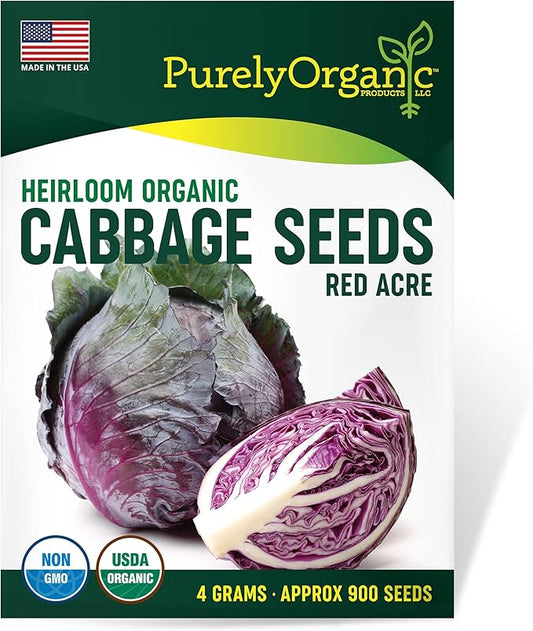 Organic Cabbage Seeds (Red Acre) - Approx 750 Seeds - Certified Organic, Non-GMO, Open Pollinated, Heirloom, USA Origin