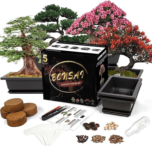 Bonsai Starter Kit, 5 Seeds Growing into Blue Spruce, Chinese Boxwood, Dawn Redwood, Flame Tree and Judas Tree, Including Complete Gardening Tools with A Gift Box, Christmas Gifts for Women