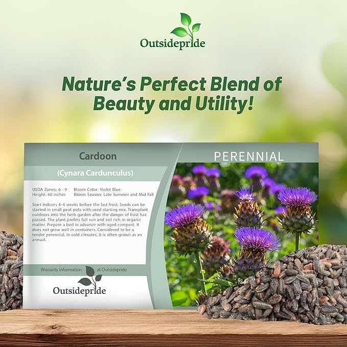 Outsidepride 200 Seeds Perennial Cynara Cardunculus Cardoon Artichoke Thistle Herb Seeds for Planting