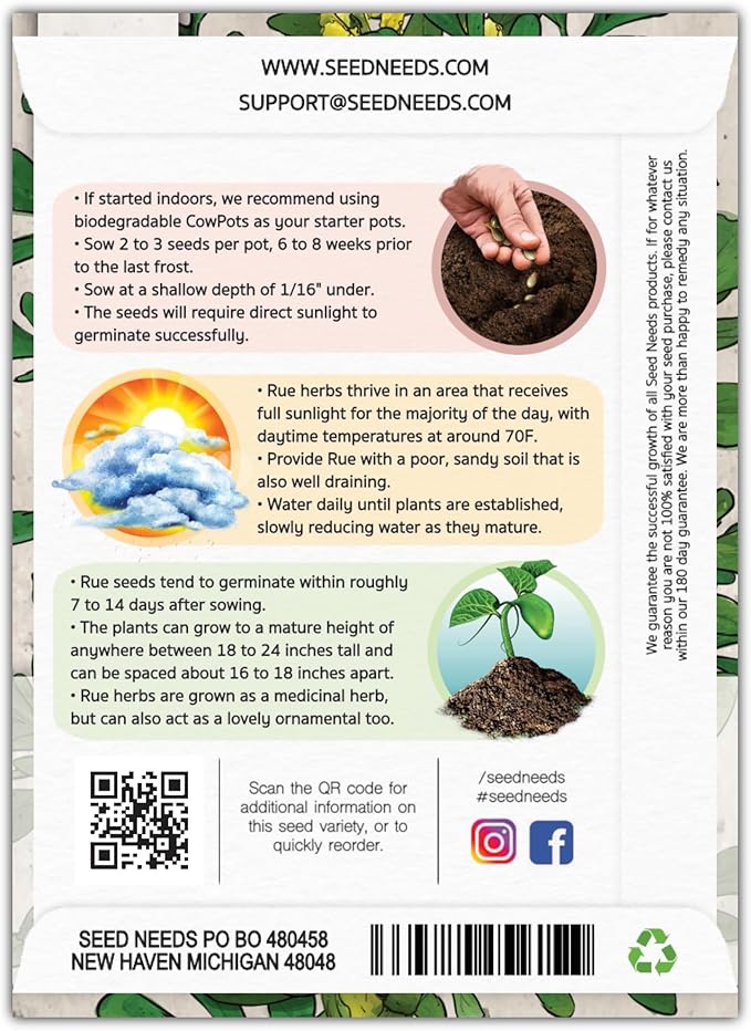 Seed Needs Rue Seeds for Planting - Non-GMO, Heirloom & Untreated Perennial Herbs - Organically Grow a Home Grown Medicinal Herb Garden Indoors or Outdoors (1 Pack)