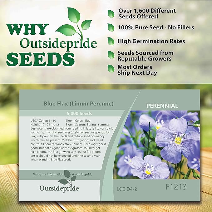 Outsidepride 5000 Seeds Perennial Blue Flax Flower Seeds for Planting