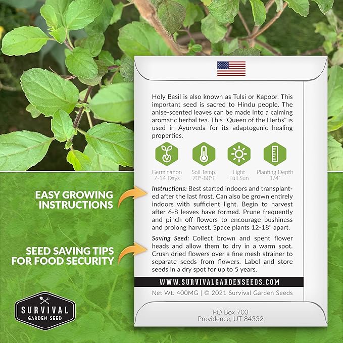 Survival Garden Seeds - Holy Basil Seed for Planting - 2 Packs with Instructions to Plant and Grow The Indian Sacred Herb Tulsi in Your Home Vegetable Garden - Non-GMO Heirloom Variety - Basil Plant