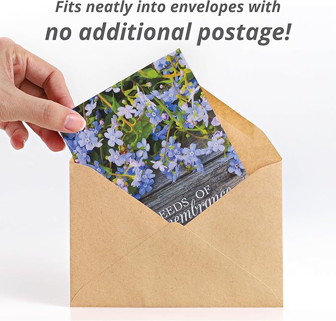 Bentley Seed Co. | Seeds of Remembrance | Pre Filled Non-GMO, Non-Coated Forget Me Not Seeds Packets | Perfect Memorial Service Giveaways and Celebration of Life Decorations | Pack of 25