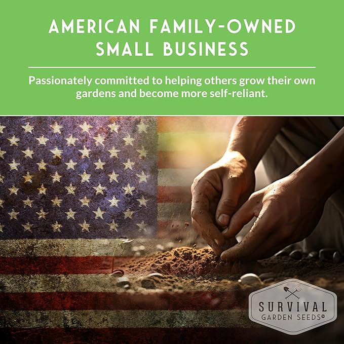 Survival Garden Seeds Selfheal Seed for Planting - 5 Packs with Instructions to Plant & Grow All-Heal Perennial Herb Plants in Your Home Flower & Herb Garden - Non-GMO Heirloom Variety