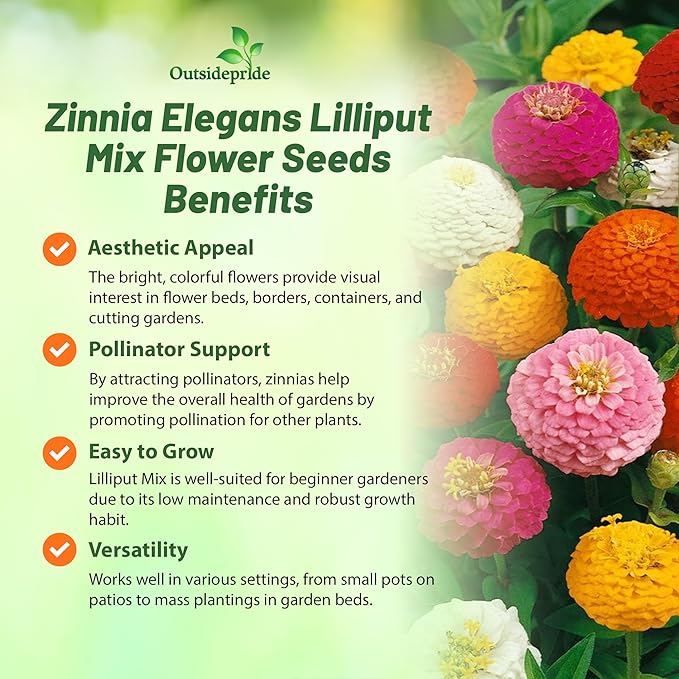 Outsidepride Zinnia Seeds - 1000 Pcs Annual Blend of Hardy Compact Mixed Color Ball-Shaped Blooms for Planting in Outdoor Containers, Borders, Flower Beds, Cutting Gardens & Pollinator-Friendly Spaces